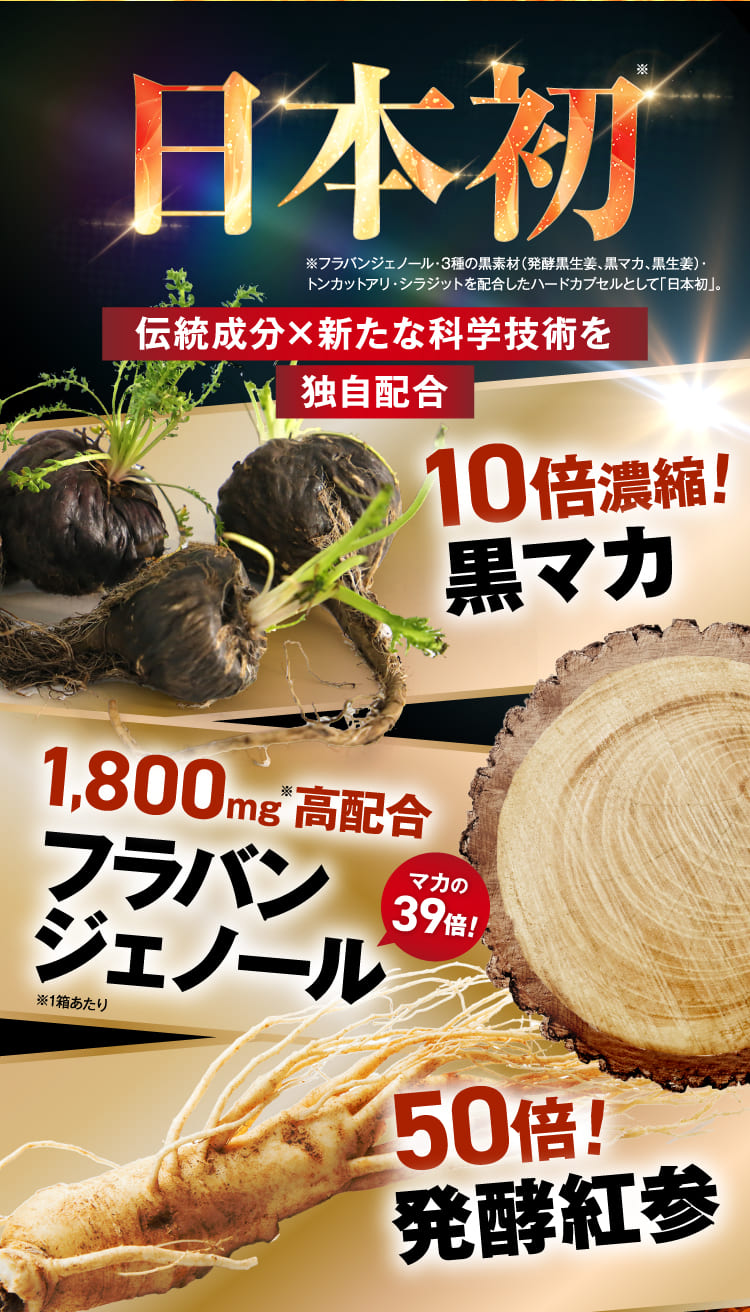 黒マカ・発酵紅参・他13種の活力成分